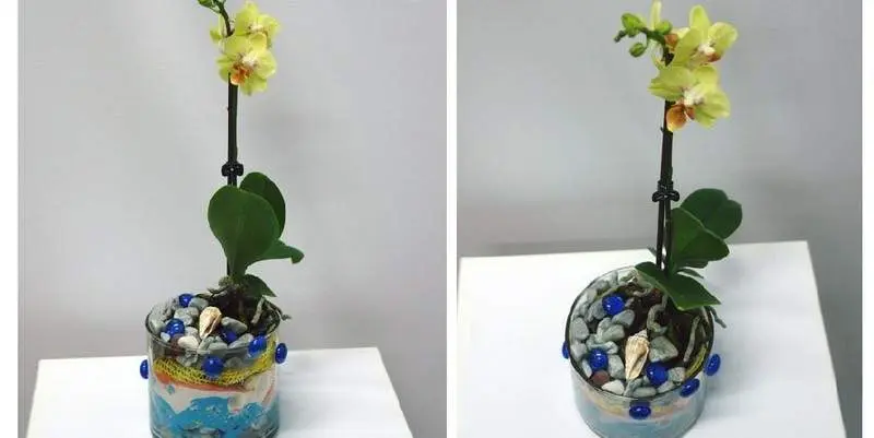 Композиция Фаленопсис в керамике 