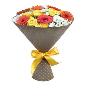 Солнечный зайчик